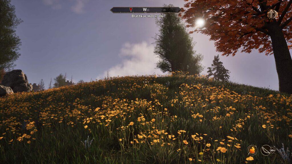 Screenshot aus dem Remastered von Oblivion aus dem Jahr 2025. Eine schöne Wiese mit gelben Blümchen drauf.